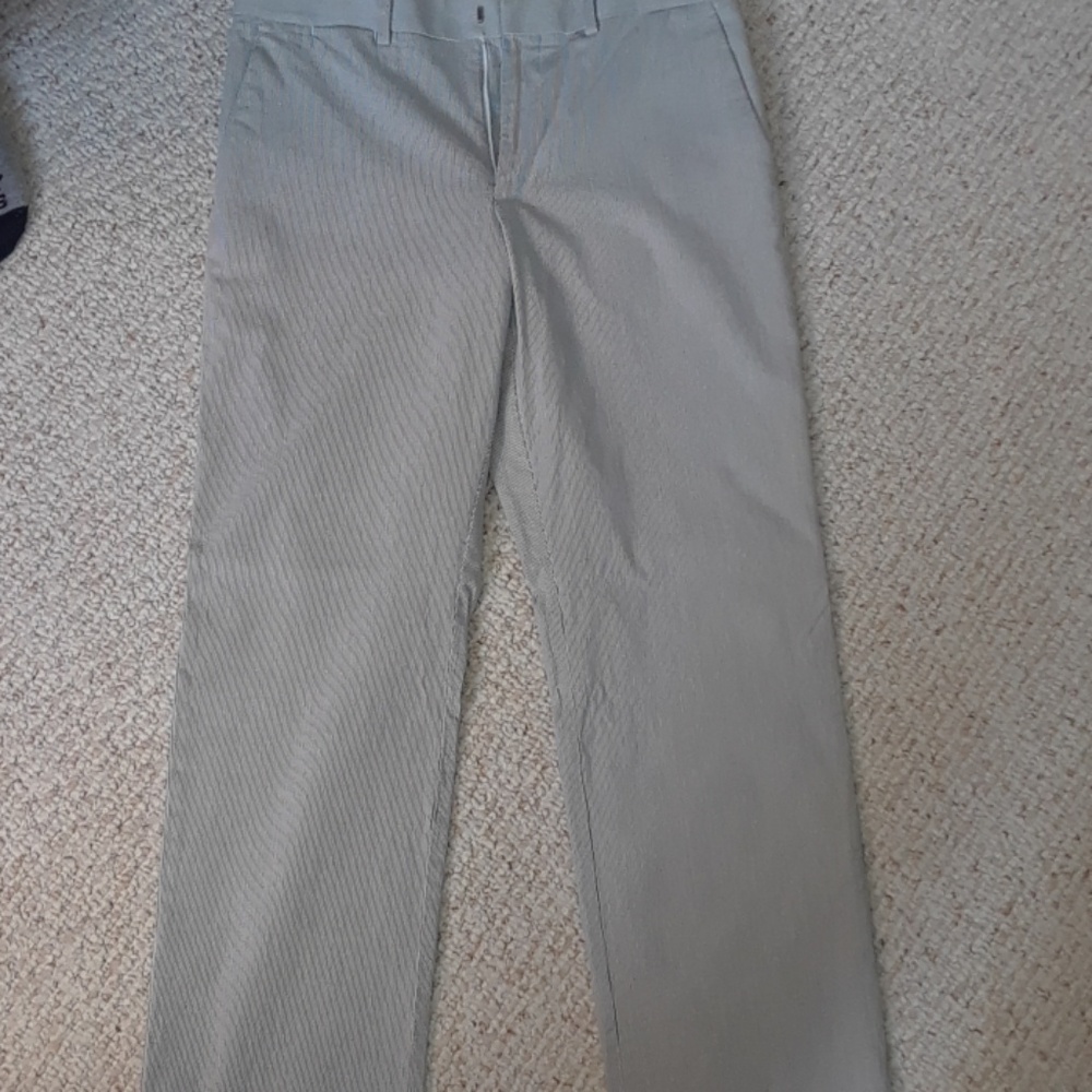 Express dress pants